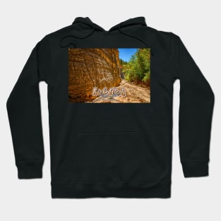 Lick Wash Trail Hike Hoodie